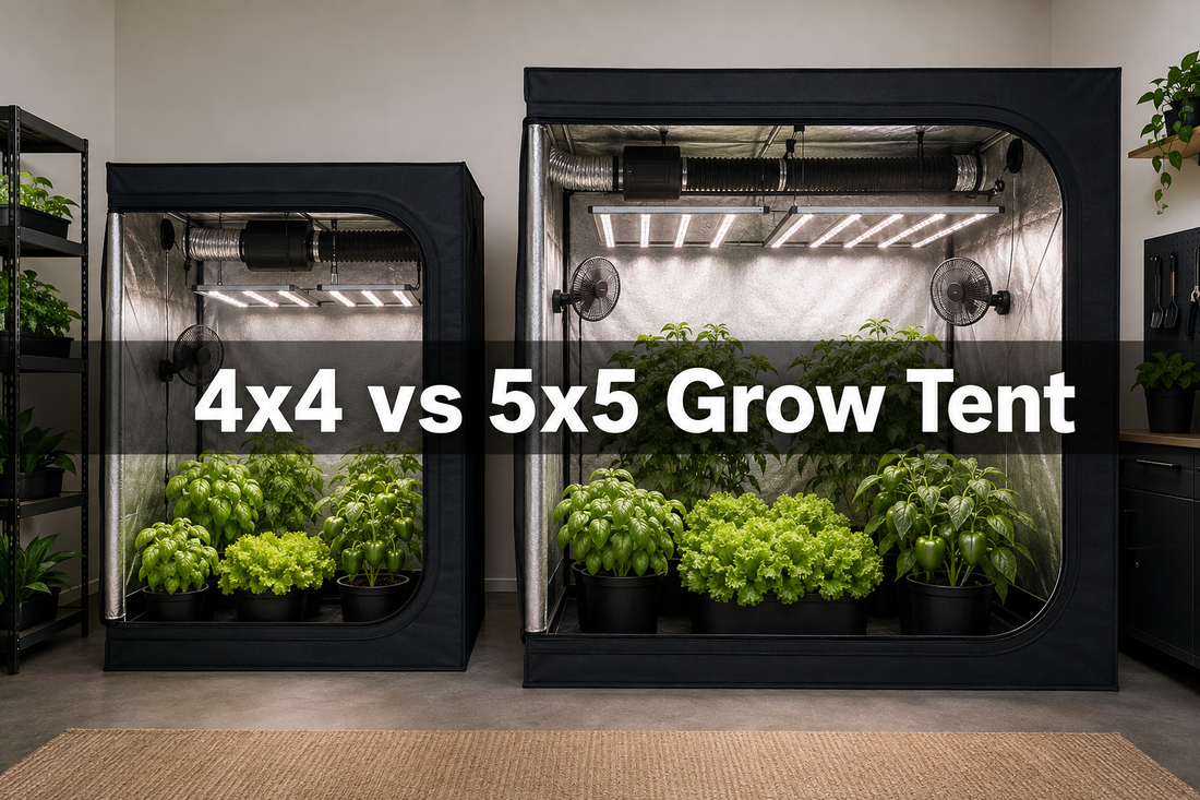 4x4 and 5x5 grow tents compared side by side for footprint, access, lighting, and ventilation