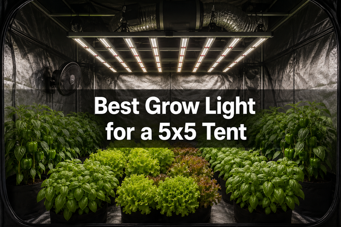 Large LED bar grow light illuminating the center and edges of a 5x5 indoor vegetable canopy