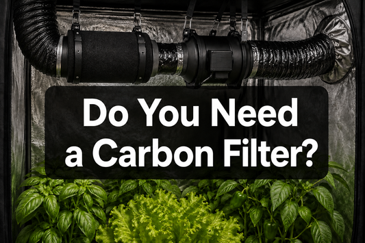 Activated carbon filter with a curved duct connection installed in a sealed grow tent exhaust path