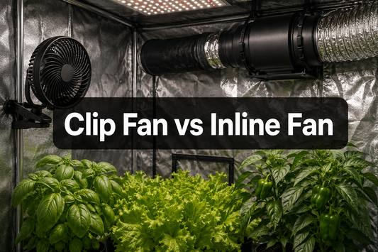 Grow tent clip fan circulating canopy air while an inline fan exhausts through ducting