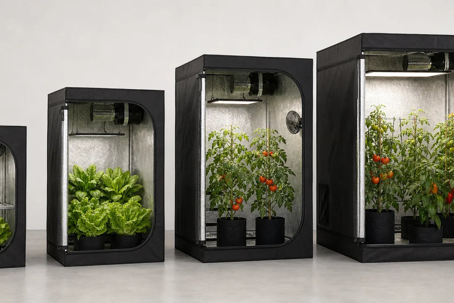 Four indoor grow tent sizes with basil, lettuce, tomatoes and peppers for size comparison