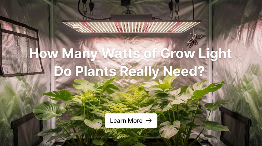 How Many Watts of Grow Light Do Plants Really Need?
