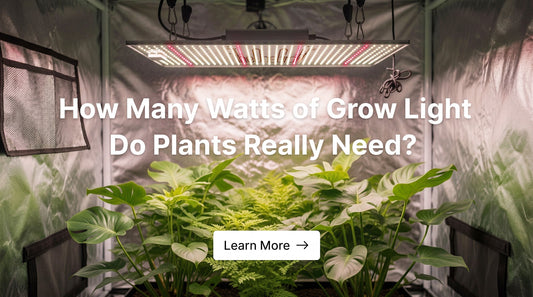 How Many Watts of Grow Light Do Plants Really Need?