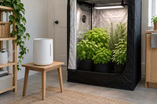 Humidifier beside an indoor garden area