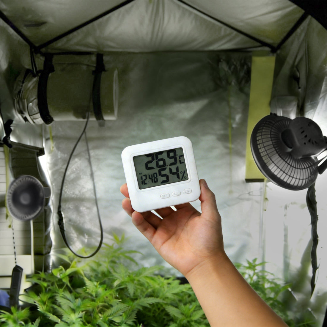 How to Control Temperature in Your Grow Tent Kit for Perfect Weeds Cultivation