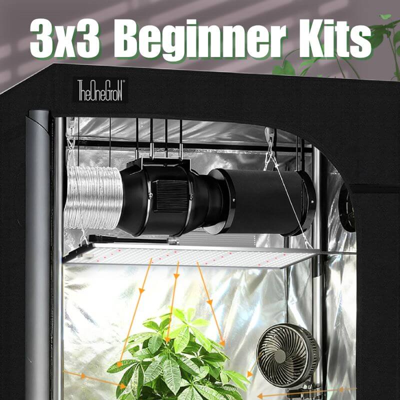 5x5 Complete Grow Tent Kit with LED Light