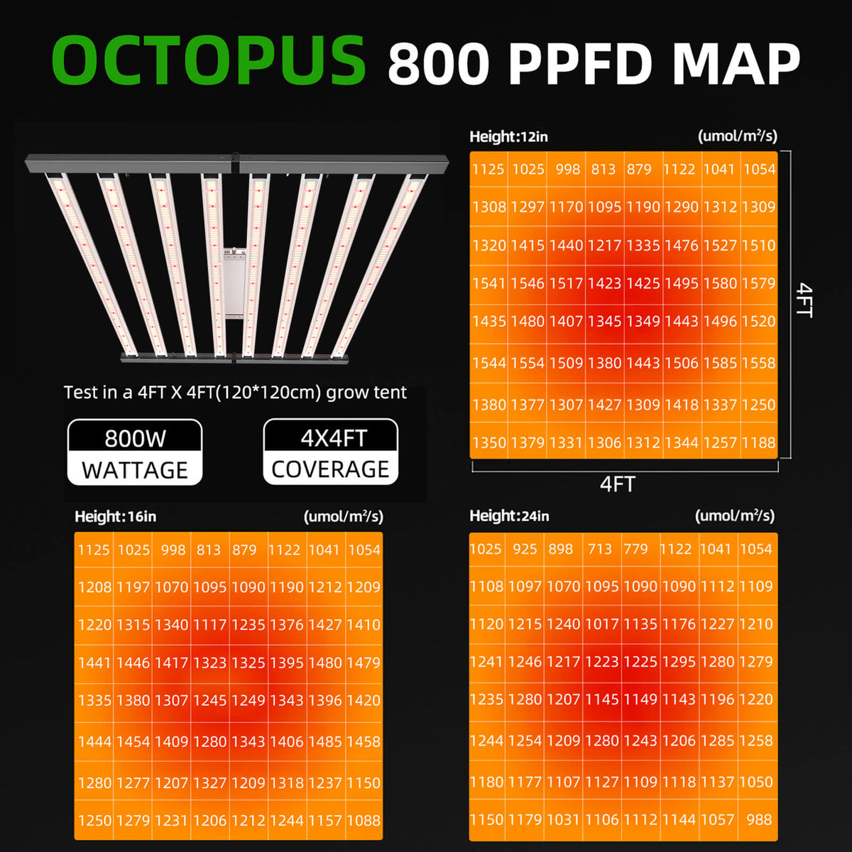 OC800