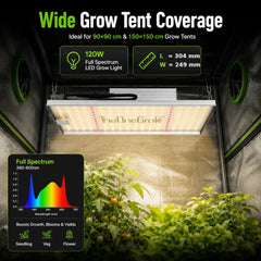 Focused placement for small canopies