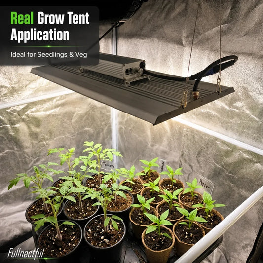 MA200 LED grow light installed above plants inside a grow tent