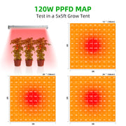under canopy light, PPFD MAP