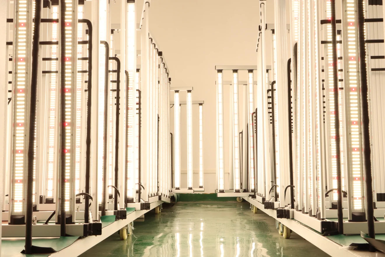 Rows of LED grow light fixtures prepared for testing
