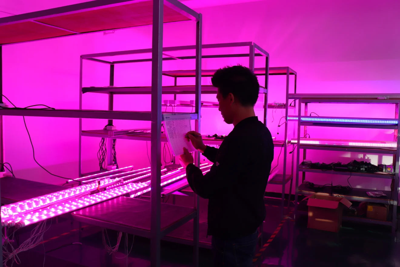 Technician checking horticultural lighting performance