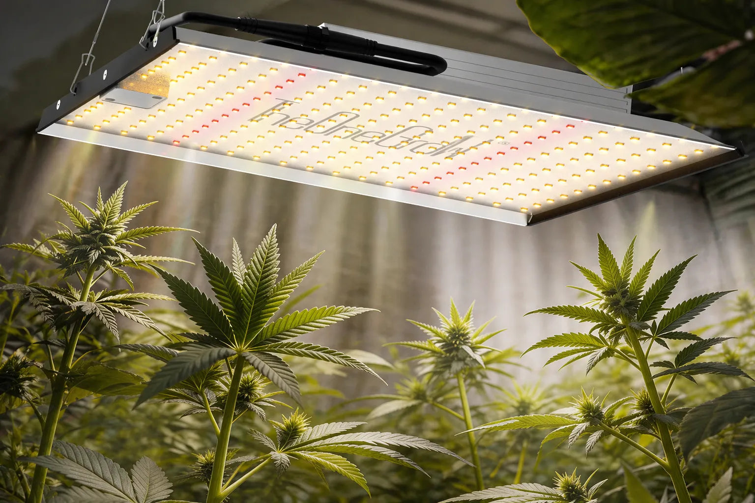 LED grow light illuminating plants in an indoor grow space