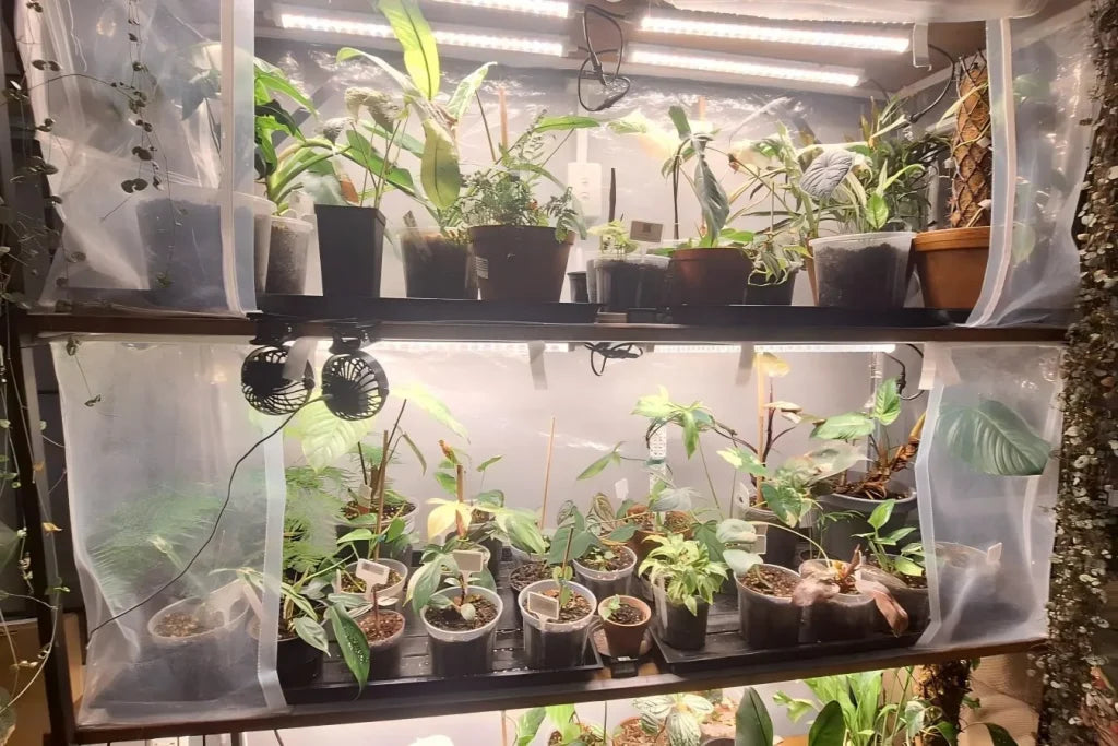 TheOneGrow T8 LED grow light tubes installed on an indoor plant shelf