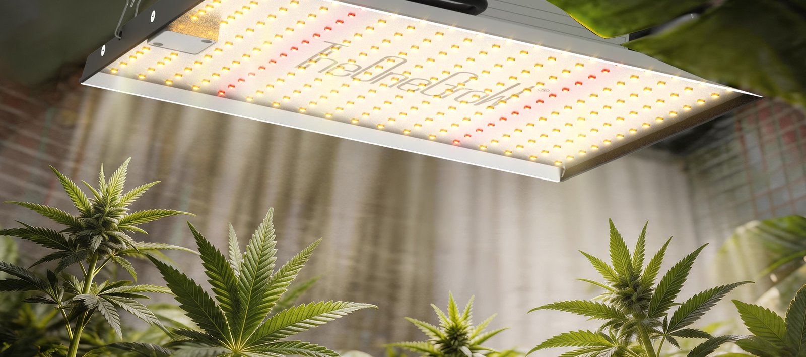 TheOneGrow LED grow light above plants in an indoor grow space